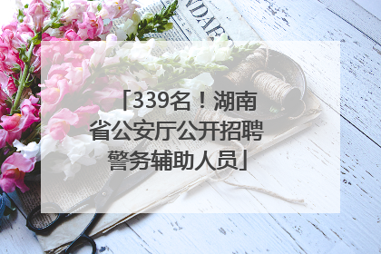 339名！湖南省公安厅公开招聘警务辅助人员