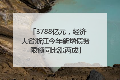 3788亿元，经济大省浙江今年新增债务限额同比涨两成