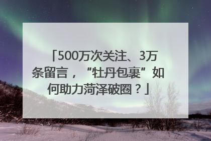500万次关注、3万条留言，“牡丹包裹”如何助力菏泽破圈？