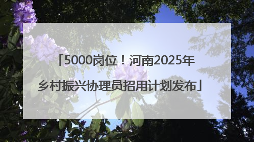 5000岗位！河南2025年乡村振兴协理员招用计划发布