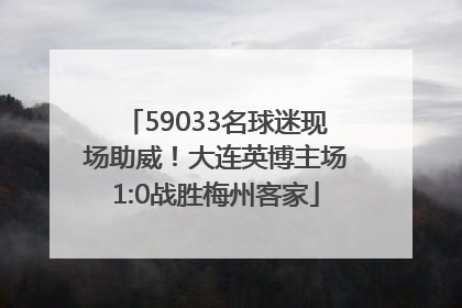 59033名球迷现场助威！大连英博主场1:0战胜梅州客家