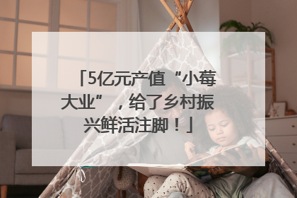 5亿元产值“小莓大业”，给了乡村振兴鲜活注脚！