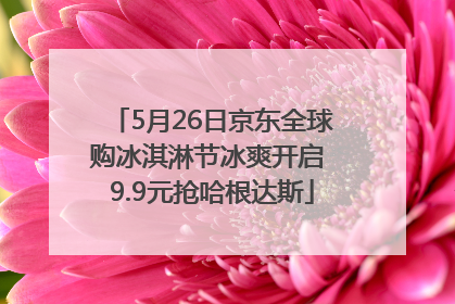 5月26日京东全球购冰淇淋节冰爽开启 9.9元抢哈根达斯