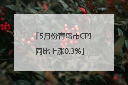 5月份青岛市CPI同比上涨0.3%