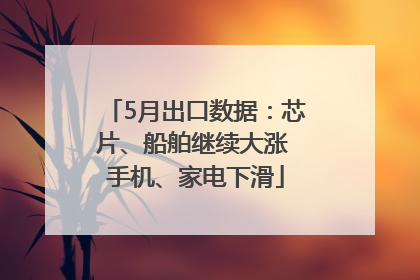 5月出口数据：芯片、船舶继续大涨 手机、家电下滑