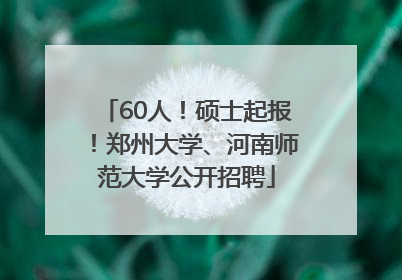 60人！硕士起报！郑州大学、河南师范大学公开招聘