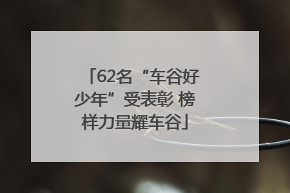 62名“车谷好少年”受表彰 榜样力量耀车谷