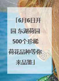 6月6日开园 东湖荷园500个珍稀荷花品种等你来品鉴