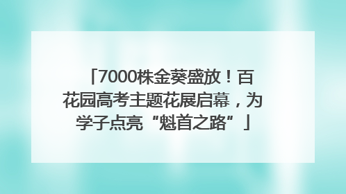 7000株金葵盛放！百花园高考主题花展启幕，为学子点亮“魁首之路”