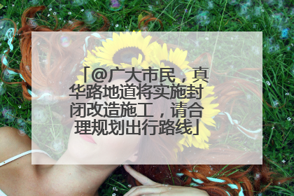 @广大市民，真华路地道将实施封闭改造施工，请合理规划出行路线