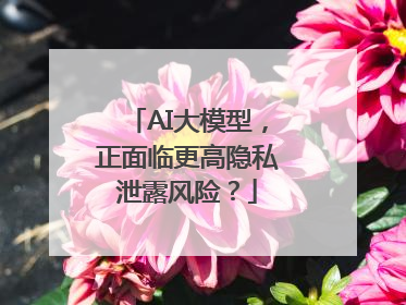 AI大模型，正面临更高隐私泄露风险？