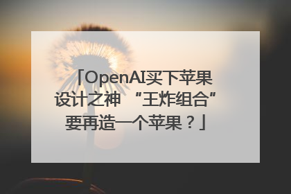 OpenAI买下苹果设计之神 “王炸组合”要再造一个苹果？