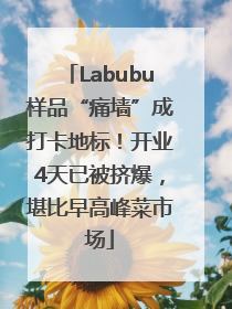 Labubu样品“痛墙”成打卡地标！开业4天已被挤爆，堪比早高峰菜市场
