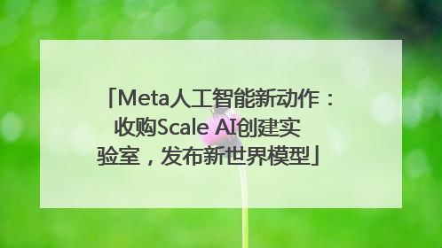Meta人工智能新动作：收购Scale AI创建实验室，发布新世界模型