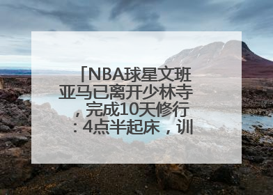 NBA球星文班亚马已离开少林寺，完成10天修行：4点半起床，训练强度高于武僧