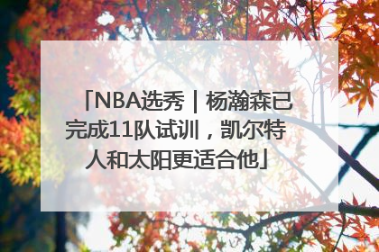 NBA选秀｜杨瀚森已完成11队试训，凯尔特人和太阳更适合他