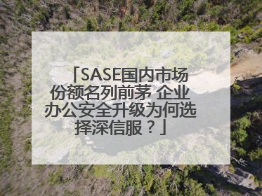 SASE国内市场份额名列前茅 企业办公安全升级为何选择深信服？